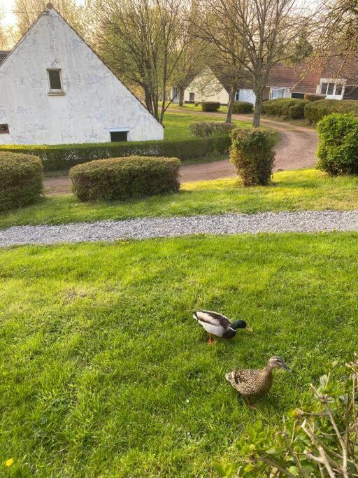 Apartament Le Nid Du Cygne Houlle Zewnętrze zdjęcie