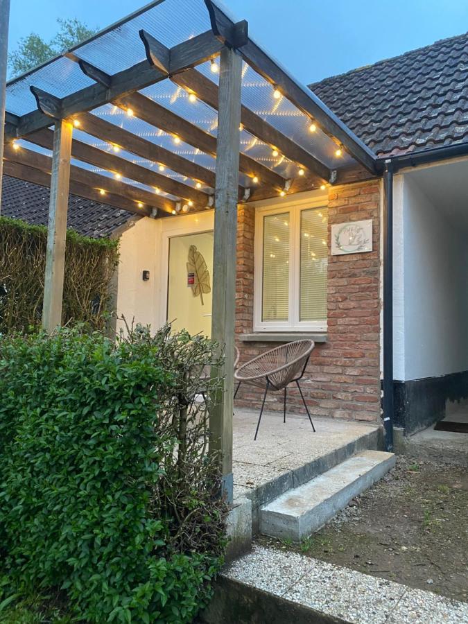 Apartament Le Nid Du Cygne Houlle Zewnętrze zdjęcie